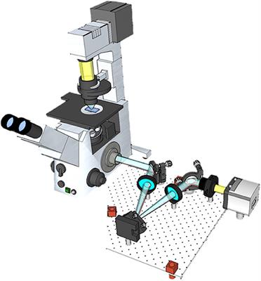 Imaging Collagen Properties in the Uterosacral Ligaments of Women With Pelvic Organ Prolapse Using Spatial Light Interference Microscopy (SLIM)